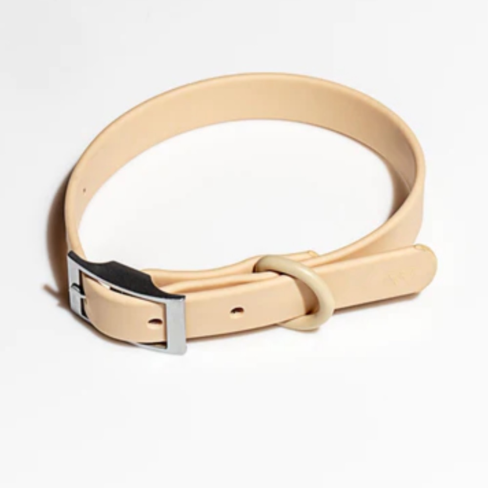 NWT Wild One Dog Collar